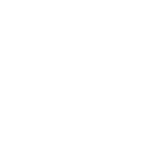 vision
